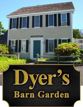 Dyer's Beach Properties